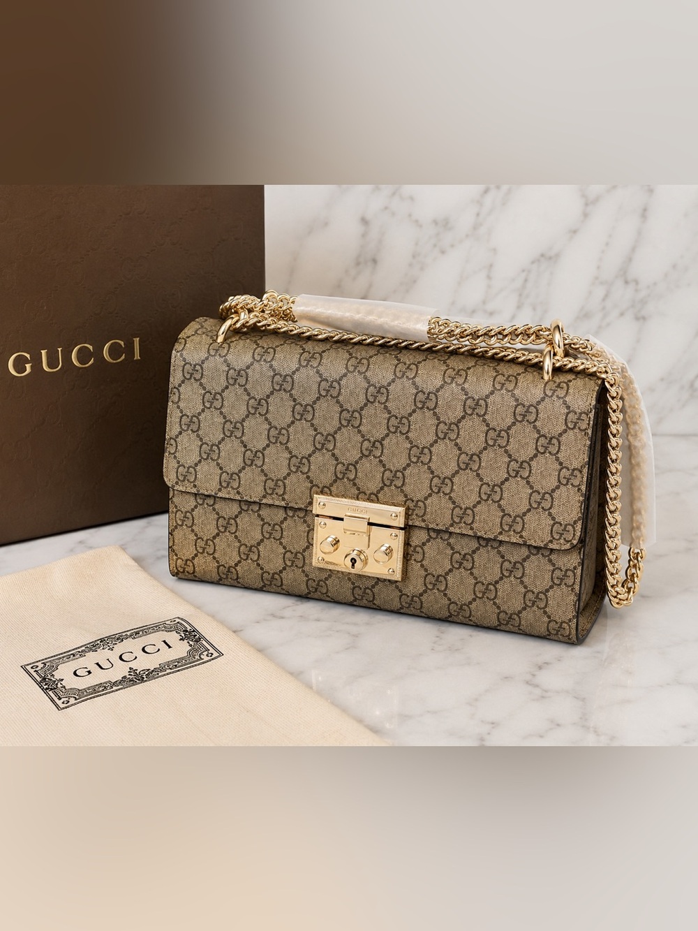 🆕 ✨ GG Supreme Chain Shoulder Bag ✨